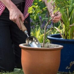 Featured Products -Garden Care Store 1002024 1