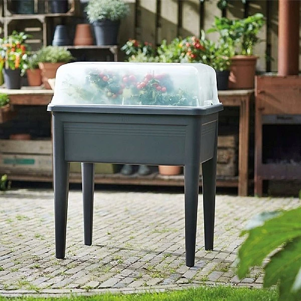 Elho Green Basics XXL Transparent Grow House 3 Elho Green Basics XXL Transparent Grow House - Image 3