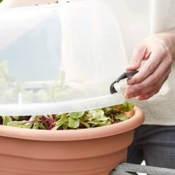 Elho Green Basics Flower Bridge Grow House 55cm 9 Elho Green Basics Flower Bridge Grow House 55cm -Garden Care Store 1024663 4