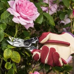 Kent & Stowe Rose Cut & Hold Secateurs -Garden Care Store 1031091 2