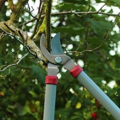 Kent & Stowe General Purpose Loppers -Garden Care Store 1031094 3
