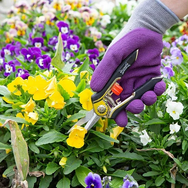 Wilkinson Sword Precision Pruner Twin Pack 2 Wilkinson Sword Precision Pruner Twin Pack - Image 2