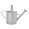 Fallen Fruits Old Zinc Watering Can 8.7L