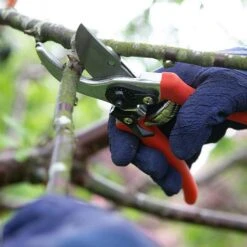 Wilkinson Sword Folding Pruner Saw & Pruner Set -Garden Care Store 1140375 2