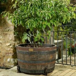 Jardinopia Plant Pot Feet Bronze Labrador - Set Of 3 5 Jardinopia Plant Pot Feet Bronze Labrador - Set Of 3 -Garden Care Store 1177293 3