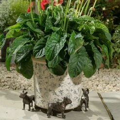 Jardinopia Plant Pot Feet Bronze French Bulldog -Garden Care Store 1177301 3