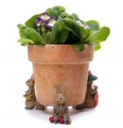 Jardinopia Beatrix Potter Benjamin Bunny Plant Pot Feet - Set Of 3