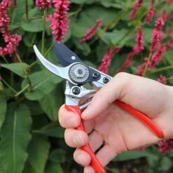 Darlac Small Bypass Pruner -Garden Care Store 1202088 3