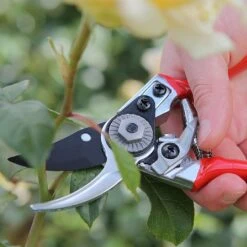 Darlac Small Bypass Pruner -Garden Care Store 1202088 4