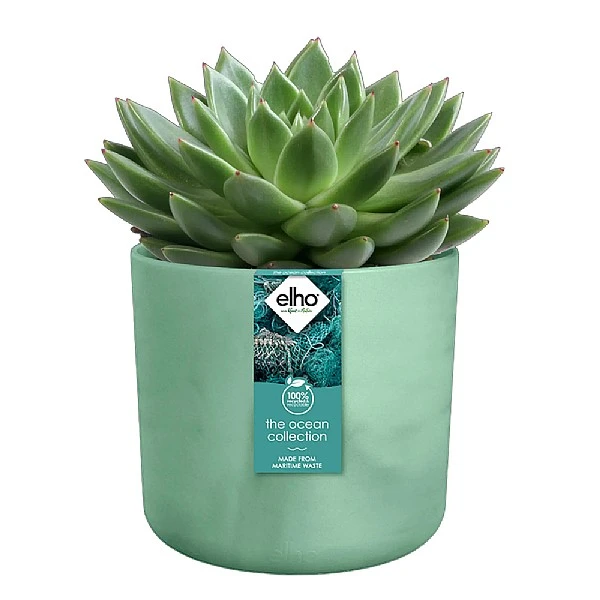 Elho The Ocean Collection Round Pot 22cm Pacific Green 2 Elho The Ocean Collection Round Pot 22cm Pacific Green - Image 2