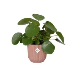 Elho Vibes Fold Round Planter 22cm Delicate Pink -Garden Care Store 1230824 4