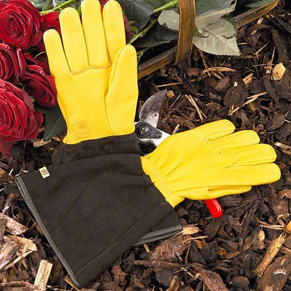 Gold Leaf Ladies Tough Touch Gloves 1 Gold Leaf Ladies Tough Touch Gloves