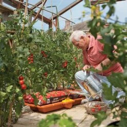 Hozelock Growbag Waterer 10 Hozelock Growbag Waterer -Garden Care Store 771491 4