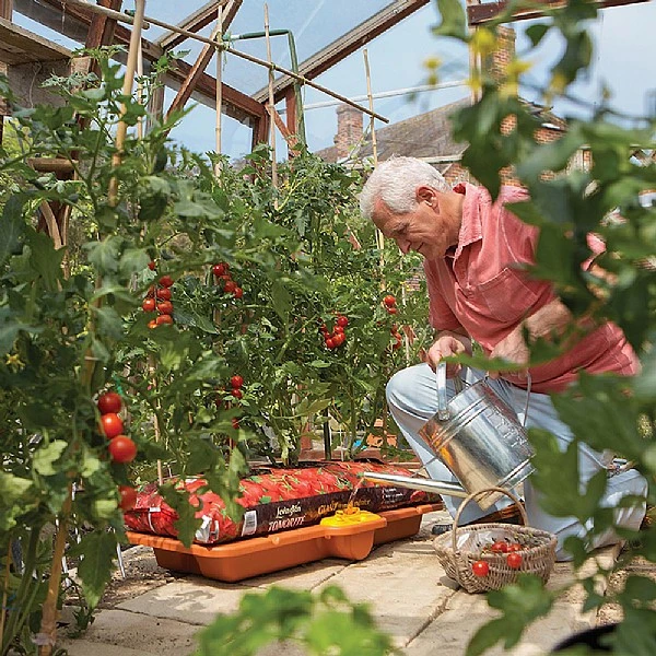 Hozelock Growbag Waterer 5 Hozelock Growbag Waterer - Image 5