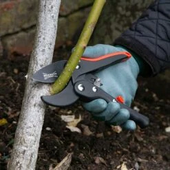 Garden Care Store -Garden Care Store 787068 1