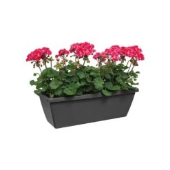Elho Barcelona 90cm Trough (Various Colours) -Garden Care Store BARCTROUGH90 2
