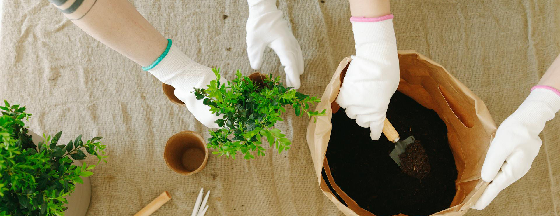 Garden Care Store 4 Garden Care Store -Garden Care Store pexels thirdman 7655930 1